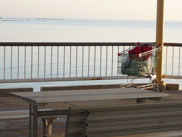 Picture of body of water with a shopping cart
